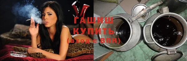индика Козловка
