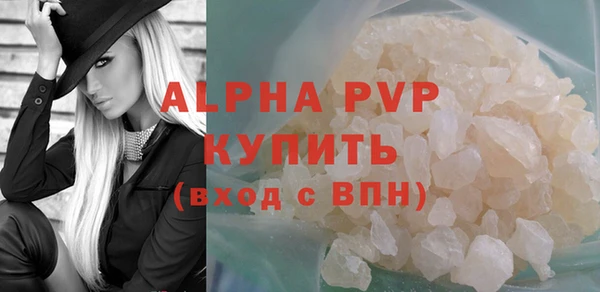 индика Козловка