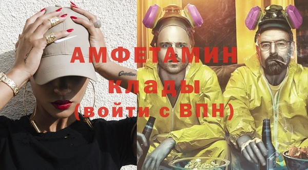индика Козловка