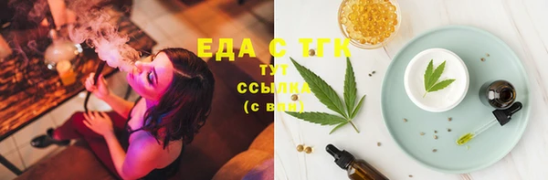 индика Козловка