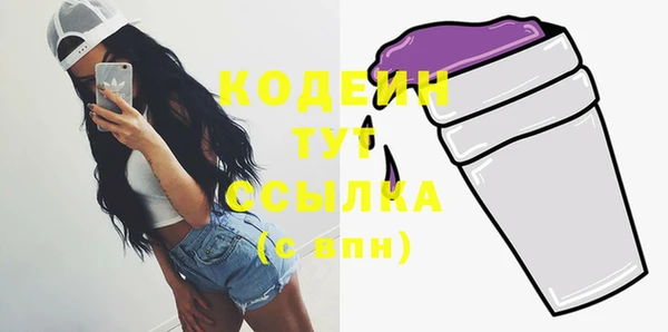 индика Козловка