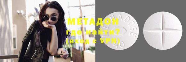 индика Козловка