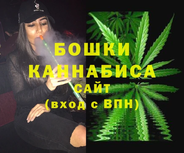 индика Козловка