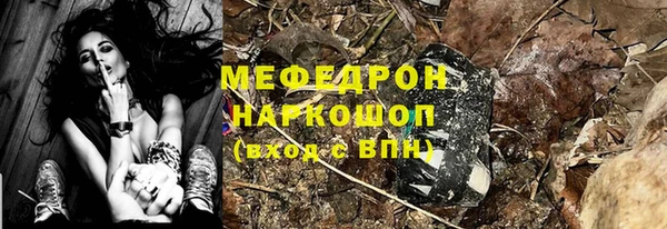 индика Козловка