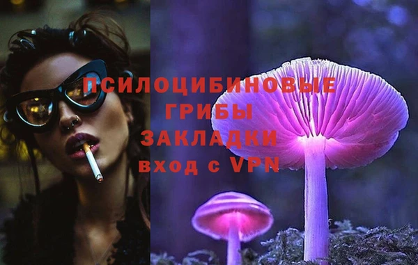 индика Козловка