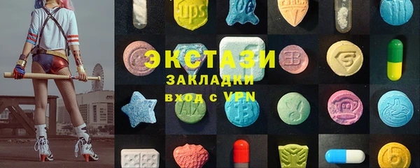 индика Козловка