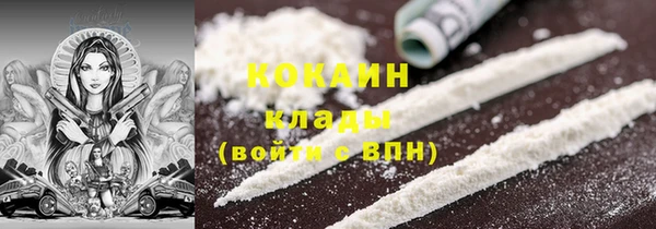 индика Козловка