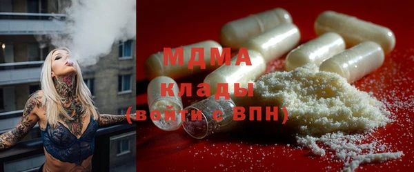 индика Козловка