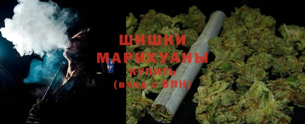 индика Козловка