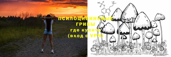 индика Козловка